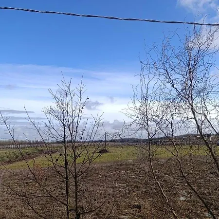 Relax 1 Casa de Campo Orsara Bormida